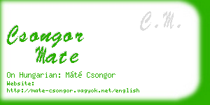 csongor mate business card